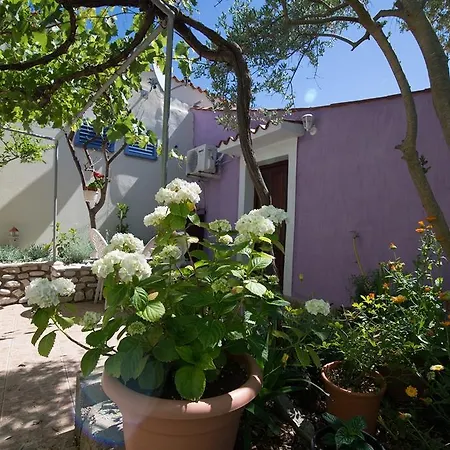 Darko * Veli Lošinj