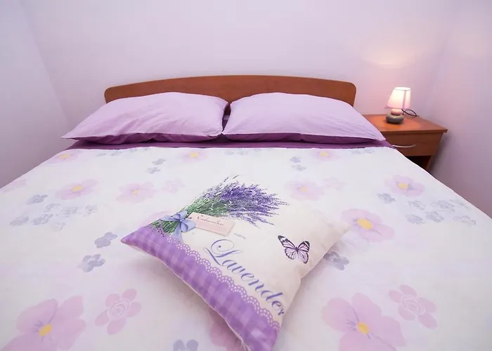 Darko * Veli Lošinj